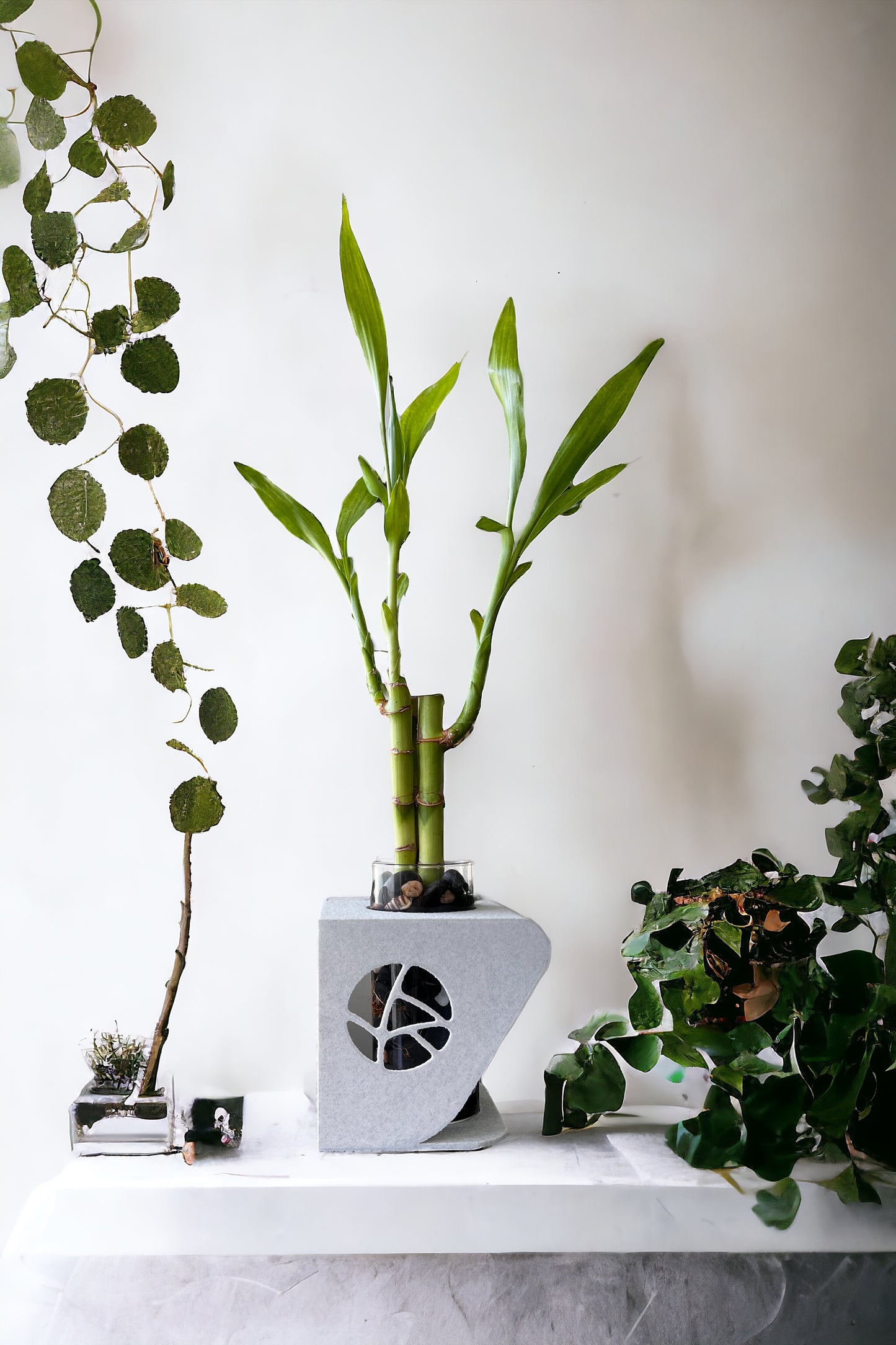 TERRA - Modern Minimalism Planter