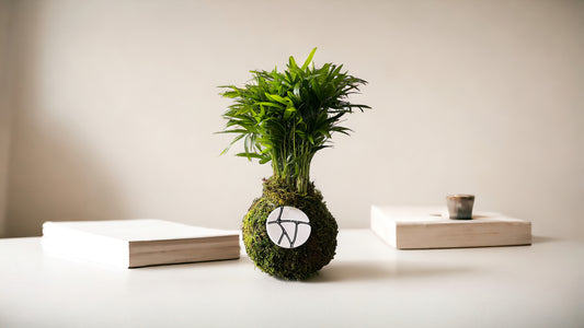 KOKEDAMA: A World of Wonder