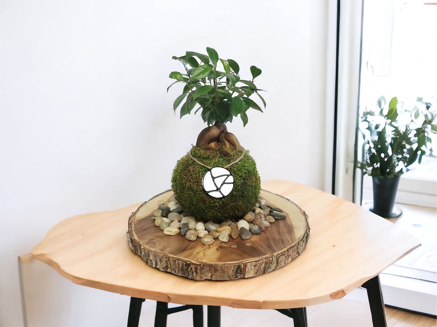 KOKEDAMA: A World of Wonder